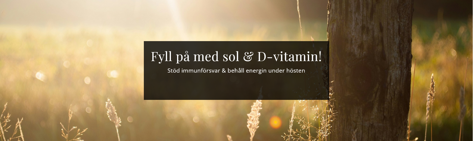 https://ortagubben.se/image/5419/d-vitamin-tillskott.png