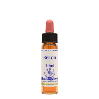 Beech 10 ml Bach Flower Remedies