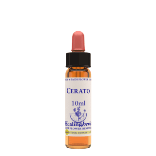 Cerato 10 ml Bach Flower Remedies