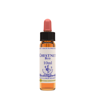 Chestnut Bud 10 ml Bach Flower Remedies