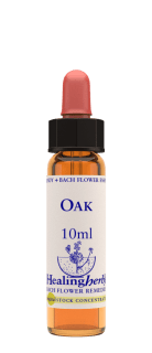 Oak 10 ml Bach Flower Remedies