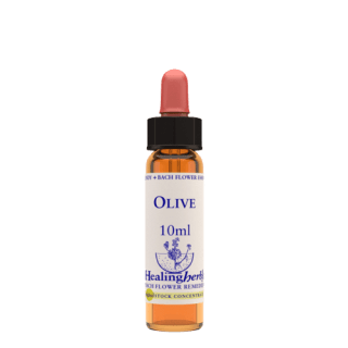 Olive 10 ml Bach Flower Remedies