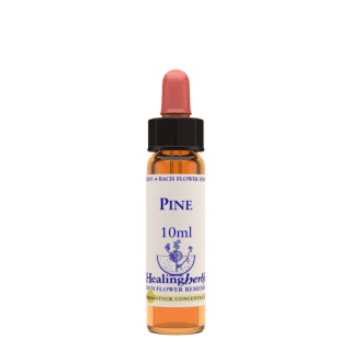 Pine 10 ml Bach Flower Remedies