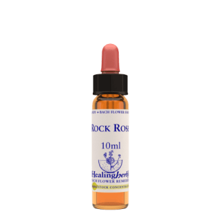 Rock Rose 10 ml Bach Flower Remedies
