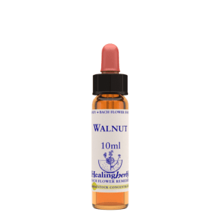 Walnut 10 ml Bach Flower Remedies