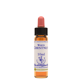 White Chestnut 10 ml Bach Flower Remedies