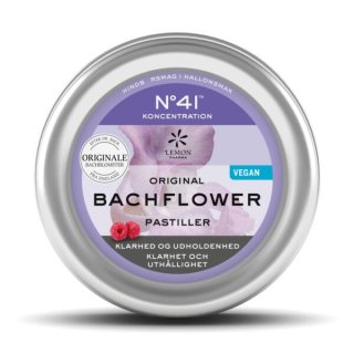Nr 41 Koncentration Bachflower pastiller 50 g