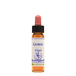 Gorse 10 ml Bach Flower Remedies