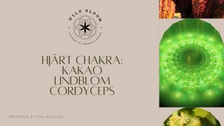 Wild Bloom Hjärtchakra Paket - Cacao, Lindblom, Cordyceps