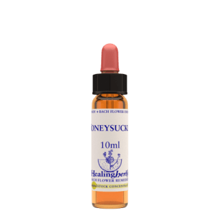 Honeysuckle 10 ml Bach Flower Remedies