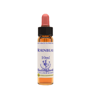 Hornbeam 10 ml Bach Flower Remedies