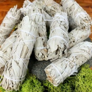 Rökelse Salvia Vit 10-12 cm Kani Naturapotek