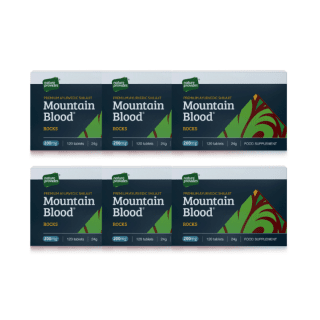 6-PACK Mountain Blood Rocks Shilajit 120 tabl Nature Provides