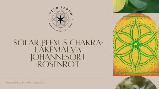 Wild Bloom Solarplexus chakra Paket - Läkemalva, Johannesört, Rosenrot