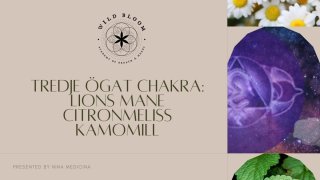 Wild Bloom Tredje Ögat Chakra Paket - Lions Mane, Citronmeliss, Kamomill