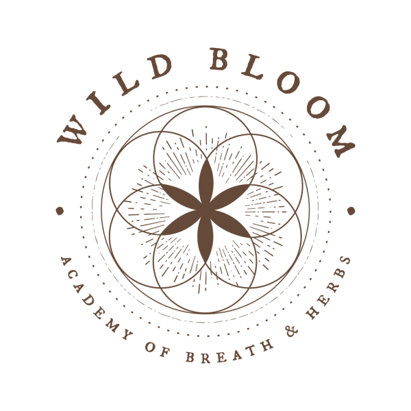 Wild Bloom Rotchakra Paket - Nässla, Kardborrerot, Chaga
