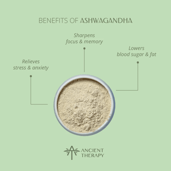 Ancient Therapy Ashwagandha 120 Kaps