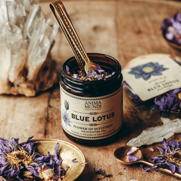 Anima Mundi Blue Lotus Tea 28g