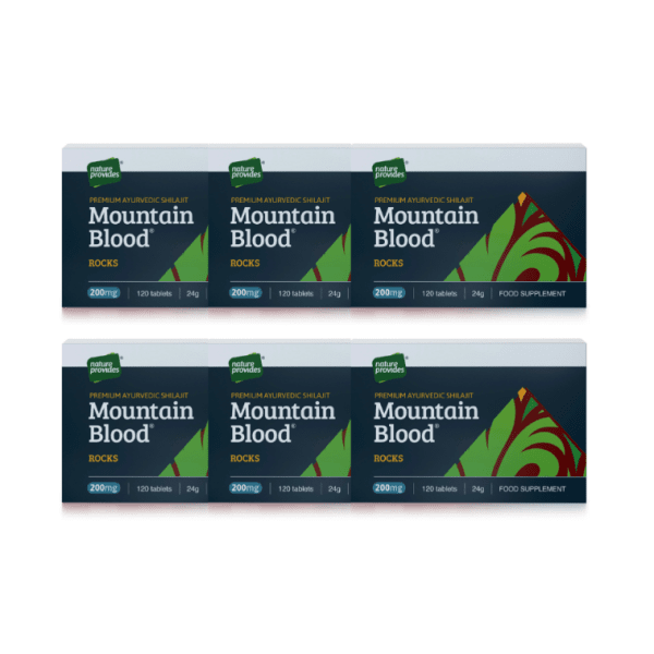 6-PACK Mountain Blood Rocks Shilajit 120 tabl Nature Provides