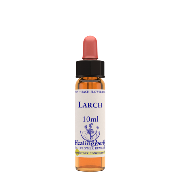 Larch 10 ml Bach Flower Remedies