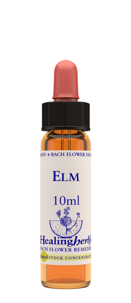 Elm 10 ml Bach Flower Remedies