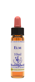 Elm 10 ml