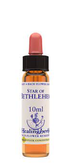 Star of Bethlehem 10 ml