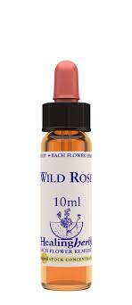 Wild Rose 10 ml