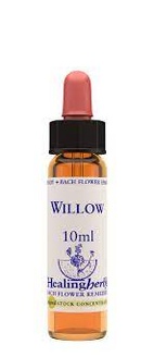 Willow 10 ml