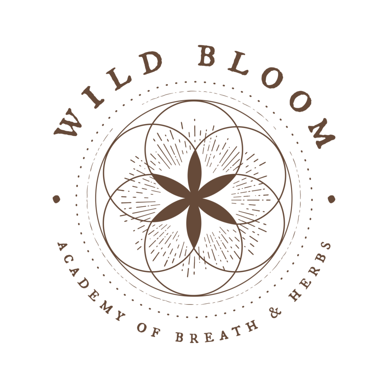 Wild Bloom Rotchakra Paket - Nässla, Kardborrerot, Chaga