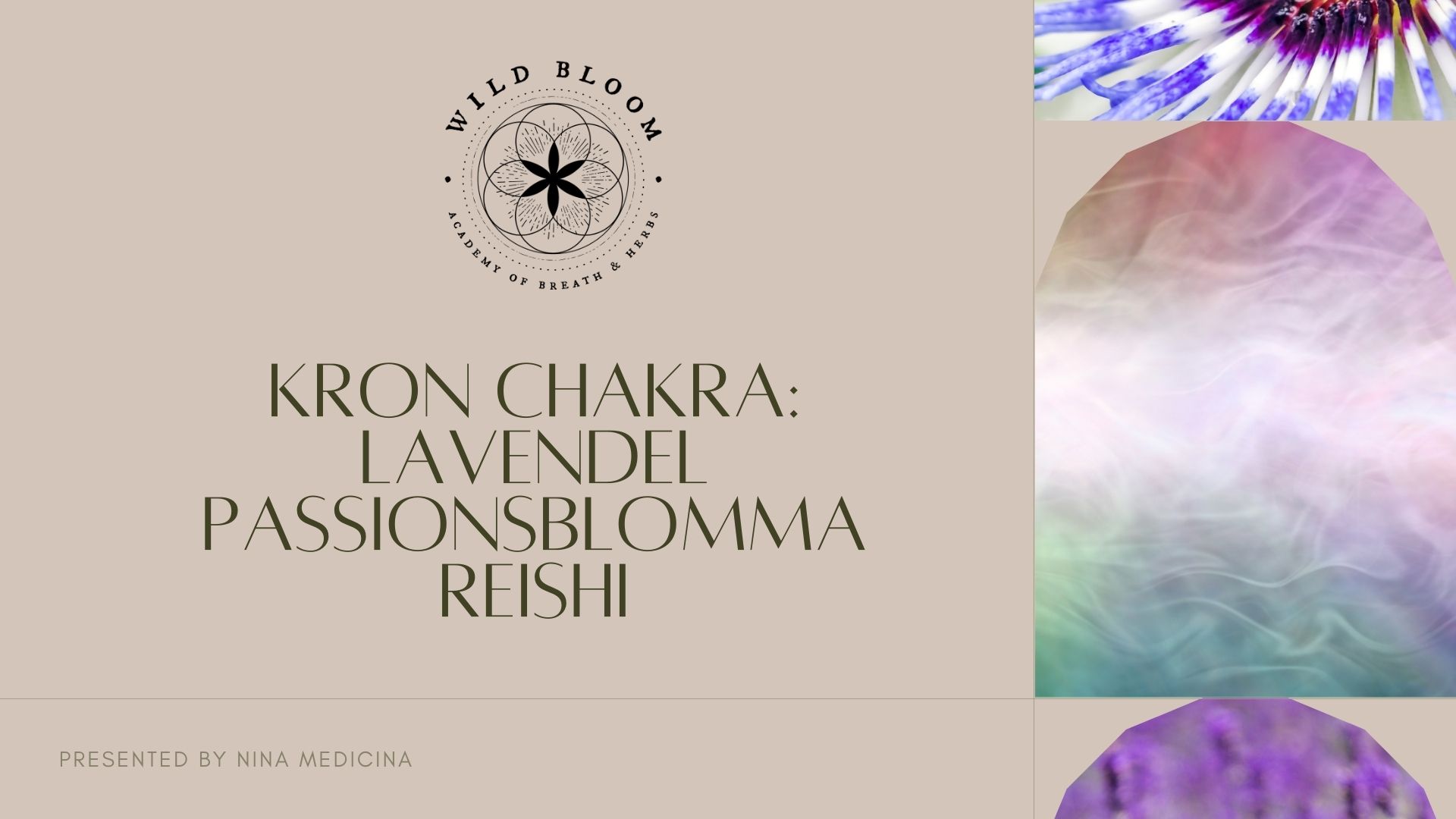 Wild Bloom Kronchakra Paket - Lavendel, Passionsblomma, Reishi