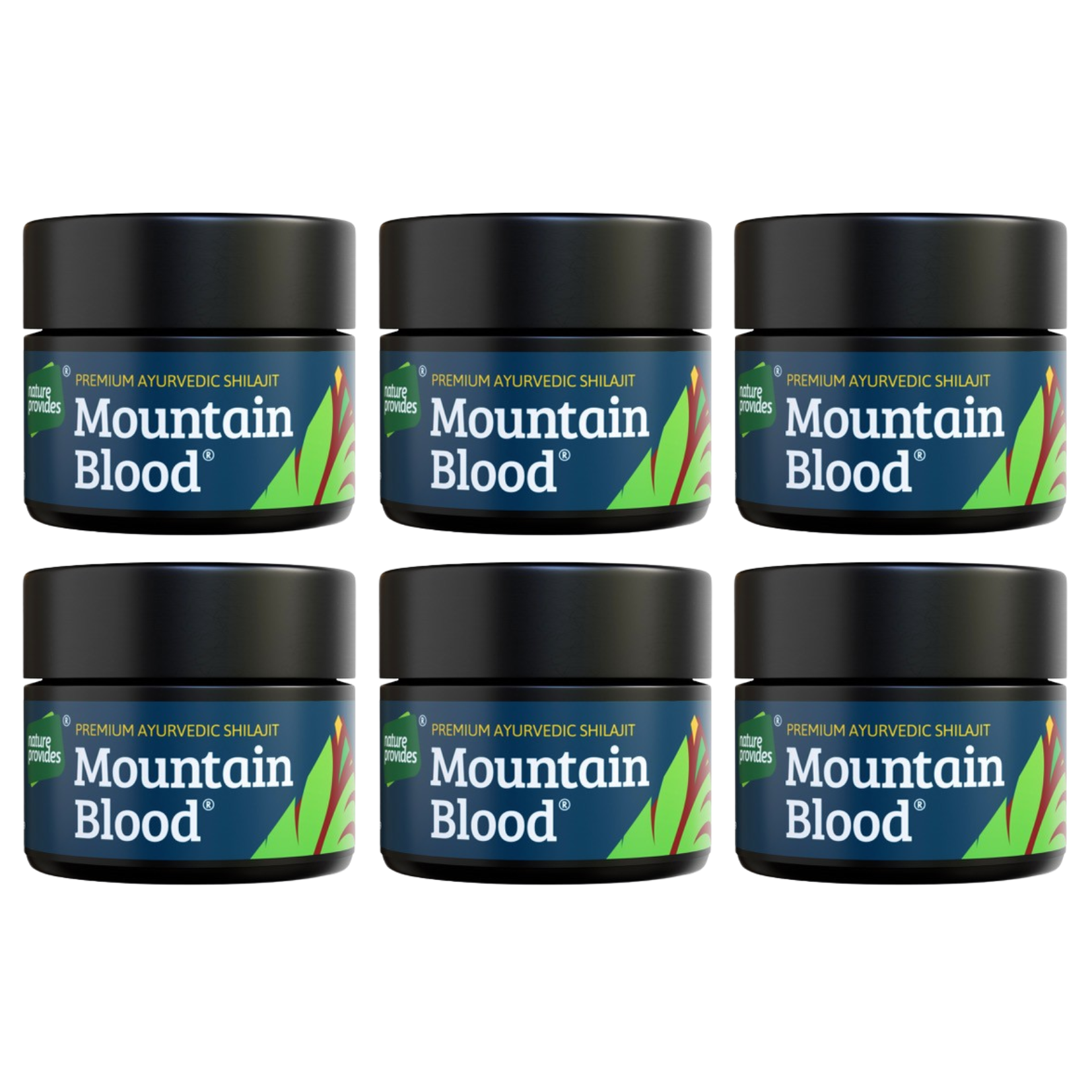 Mountain Blood Shilajit 6-PACK