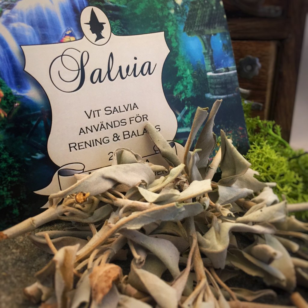 Kani Salvia 20g blad / Abalonesnäcka 8-10cm