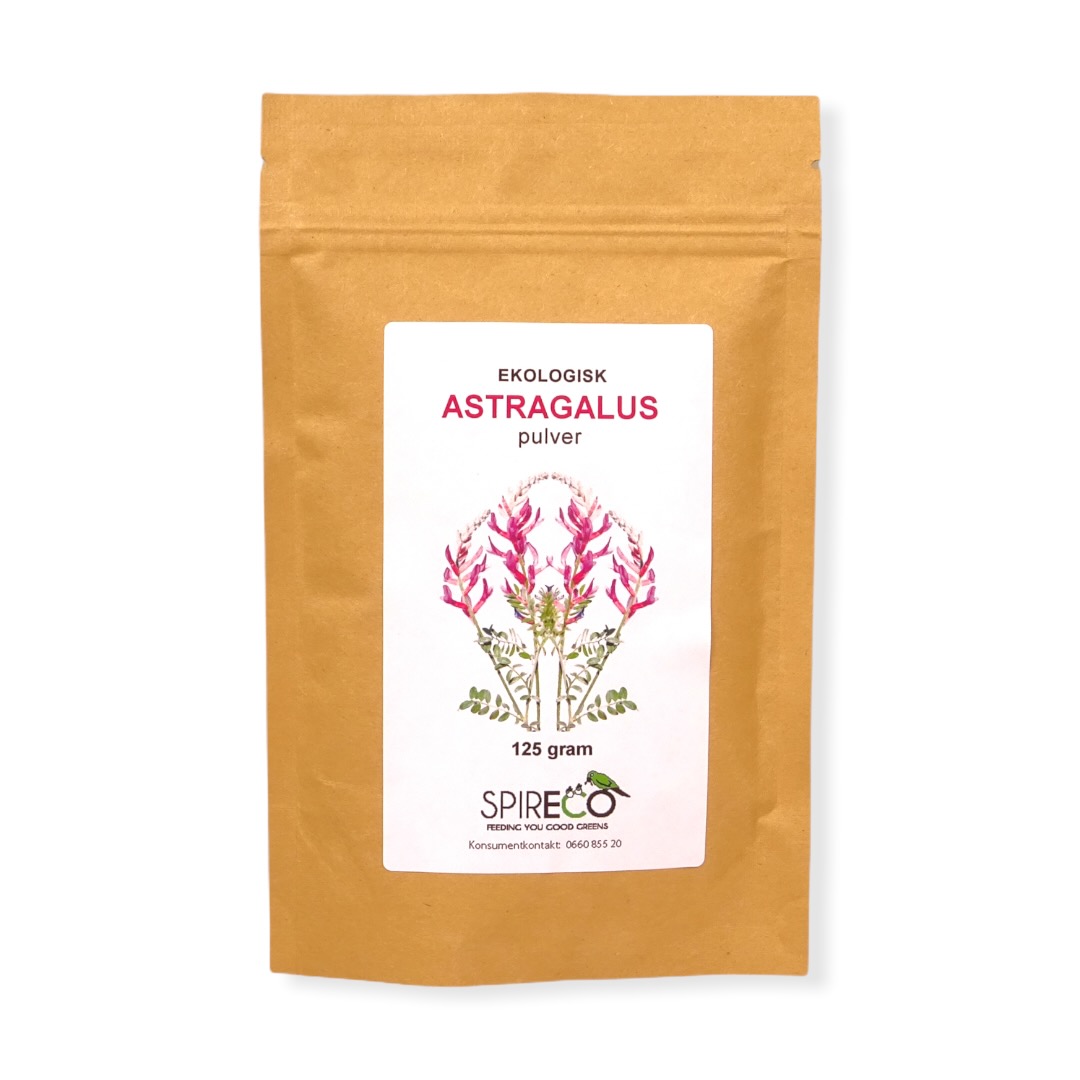 Astragalus pulver eko 125 g Spireco