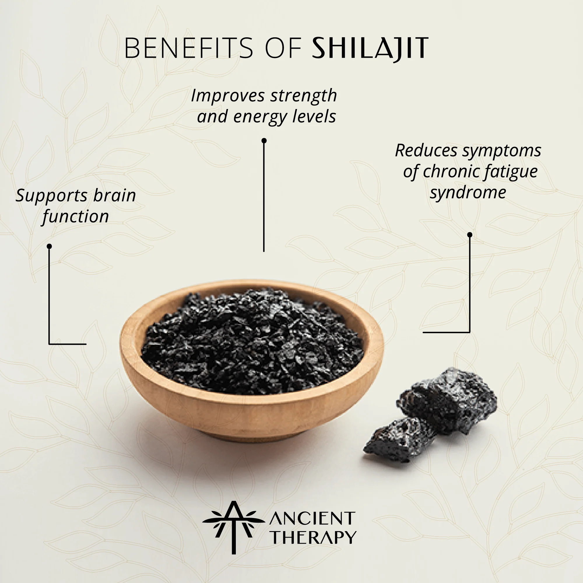 Ancient Therapy Premium Shilajit 30ml