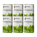 6-PACK Örtagubben Pepparmynta blad EKO 50 g