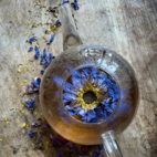 Anima Mundi Blue Lotus hela blommor