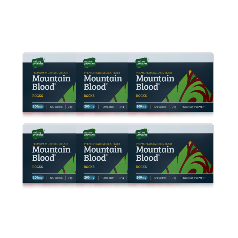 6-PACK Mountain Blood Rocks Shilajit 120 tabl Nature Provides