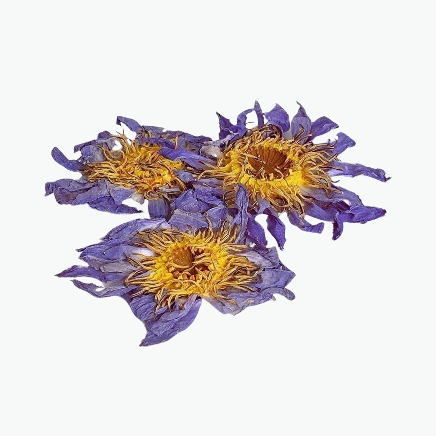 Blå Lotus hela blommor Tea Soul