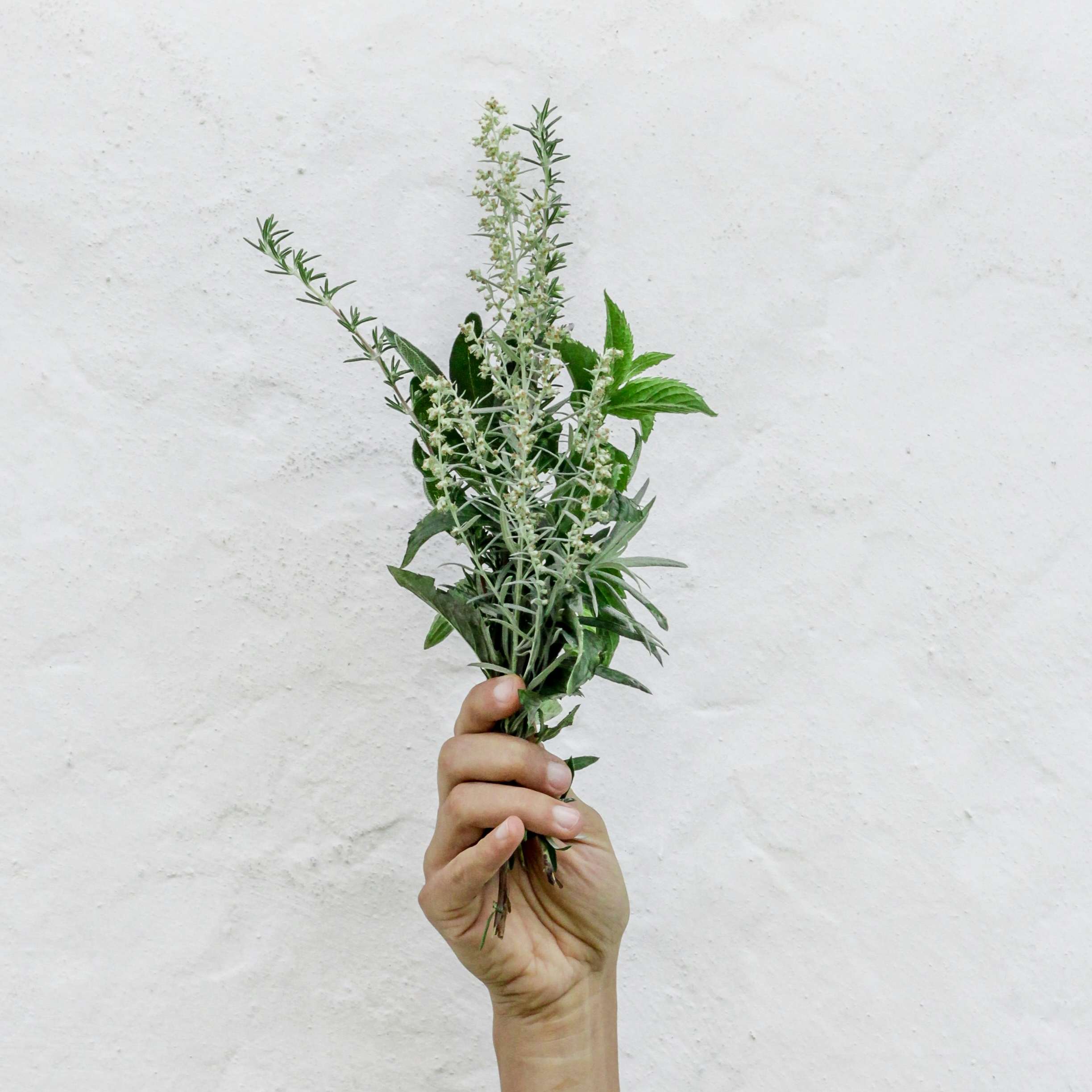 Bioteket Örtte nr 7 Kvinna