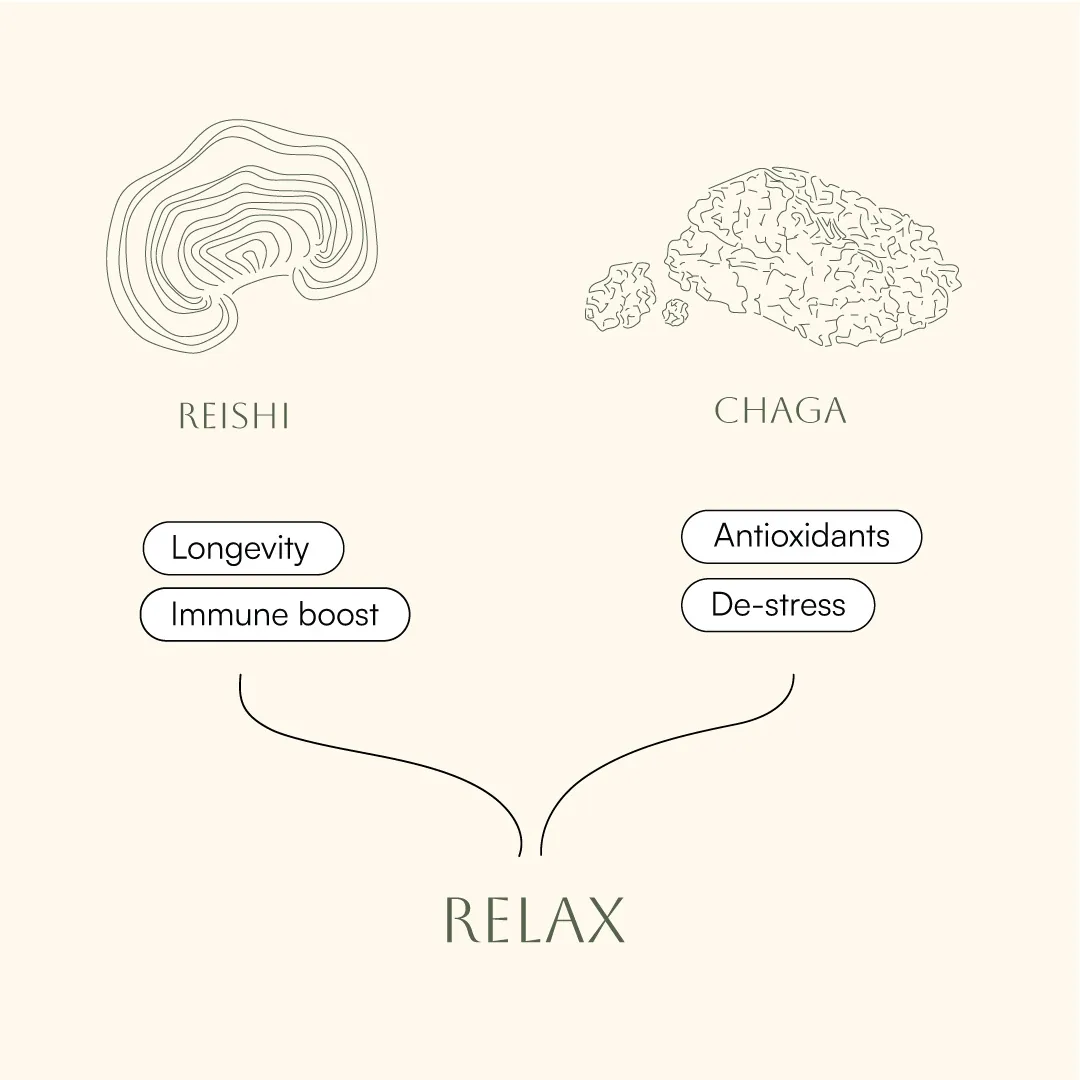 Scandi Shrooms Relax Reishi & Chaga 30 ml