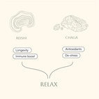 Scandi Shrooms Relax Reishi & Chaga 30 ml