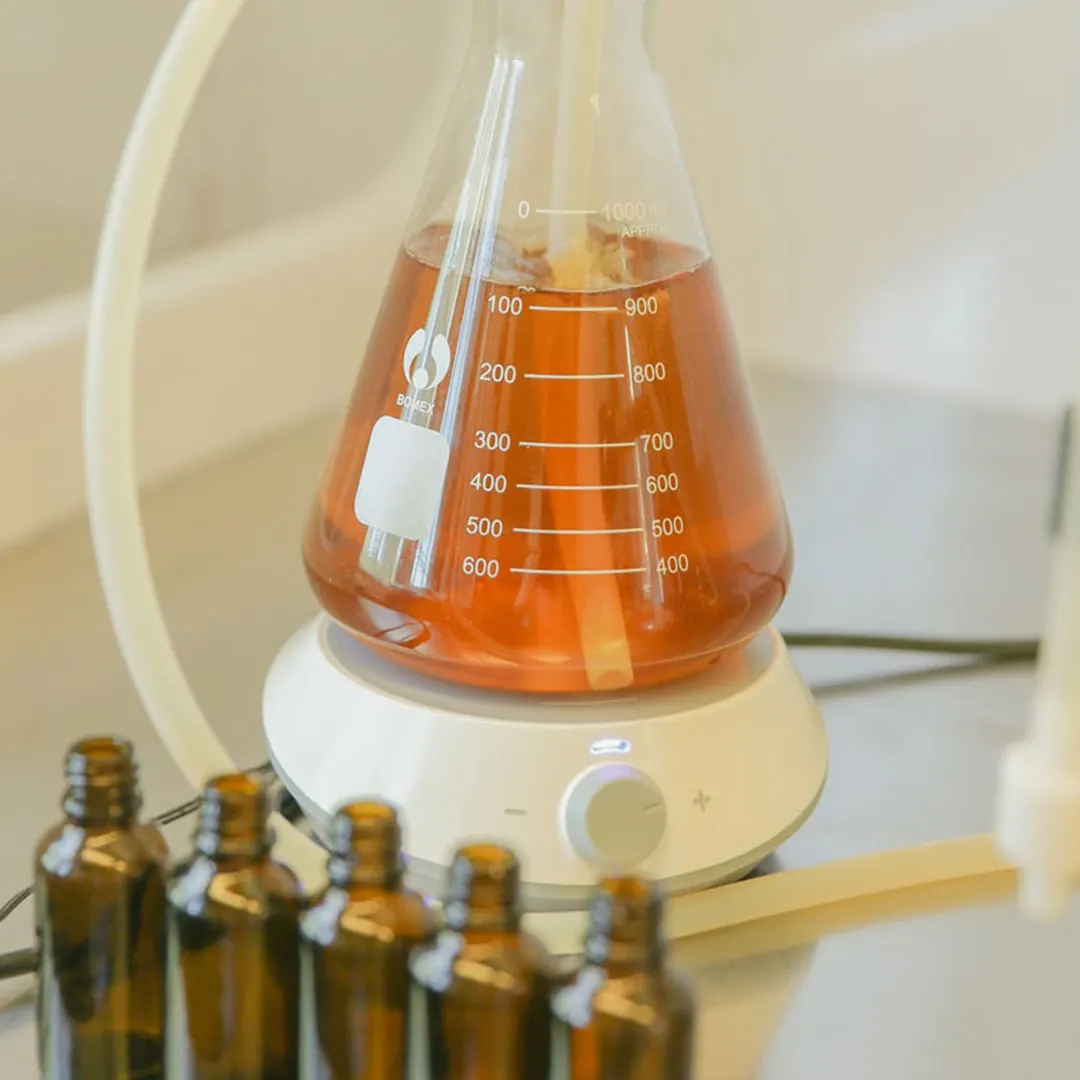 Scandi Shrooms Focus Lion's Mane & Cordyceps 30 ml