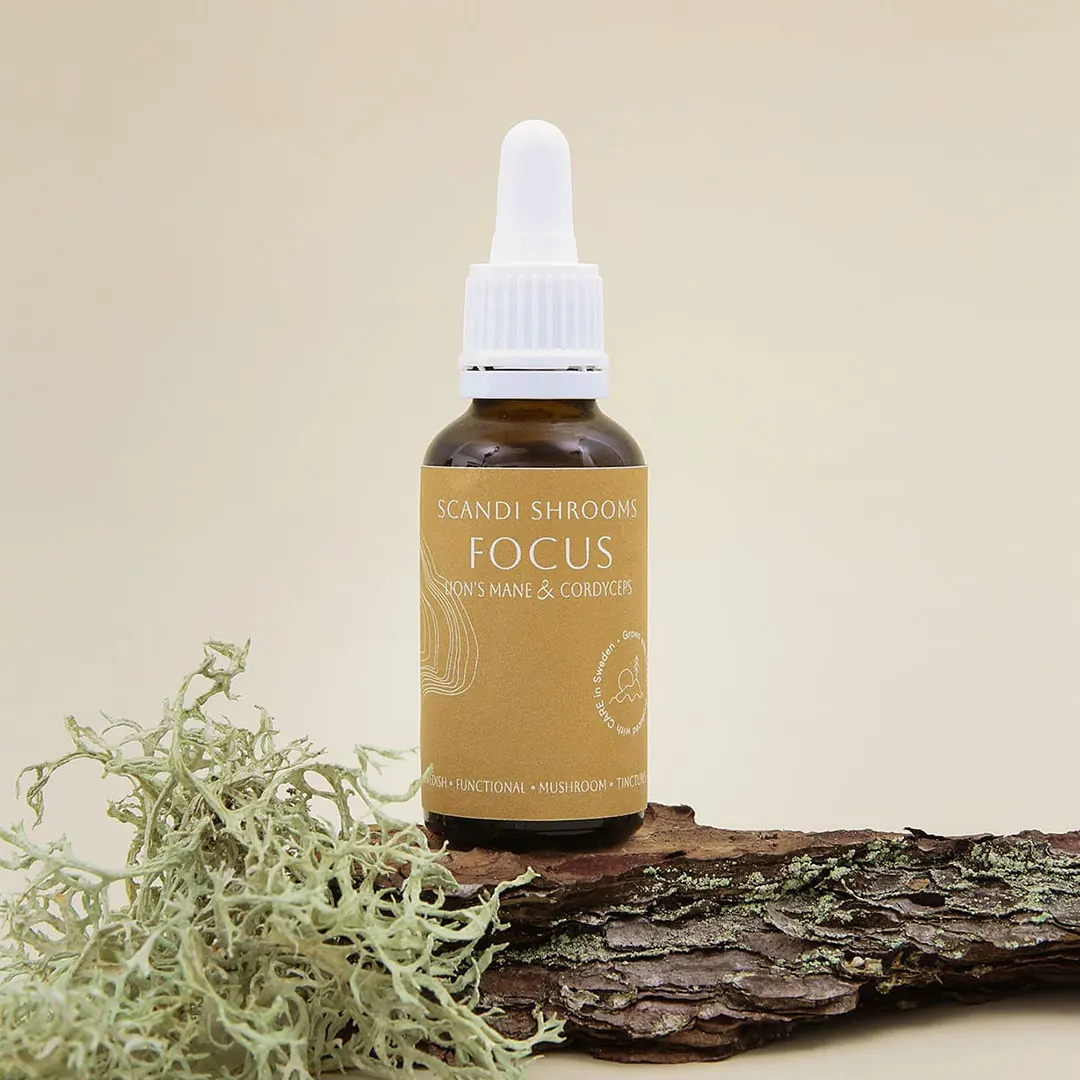 Scandi Shrooms Christmas bundle Focus + Relax kit