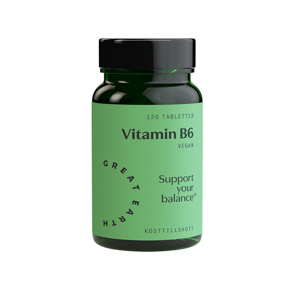 Great Earth Vitamin B6 120 tabletter