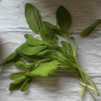 Örtspecialisten Salvia 1000A 50 ml