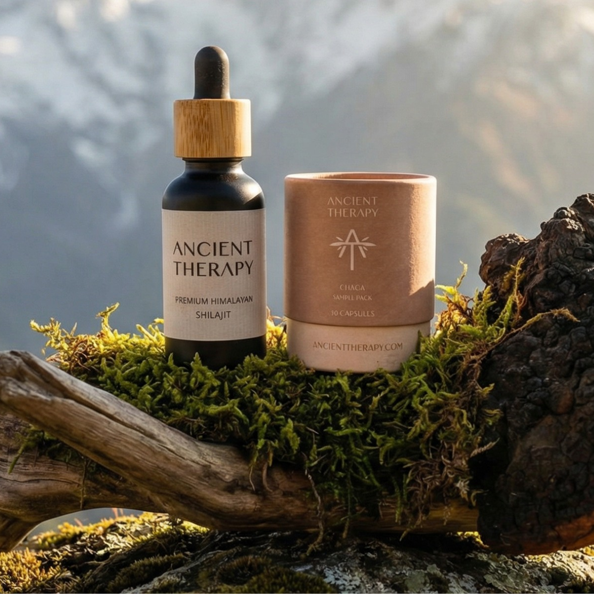 Ancient Therapy Premium Shilajit 30ml Plus Chaga 30 kap