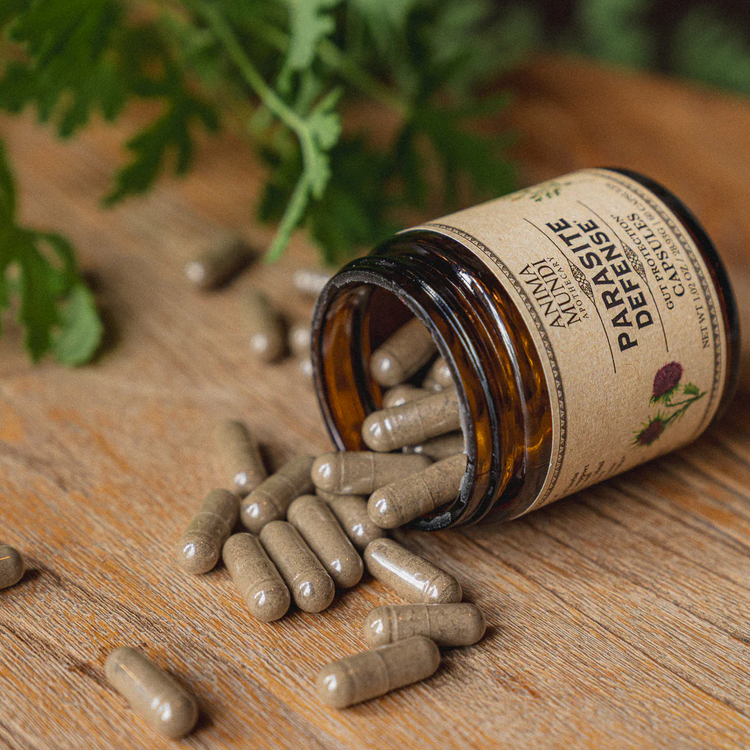 Anima Mundi PARA-HERB DEFENSE 60 kapslar