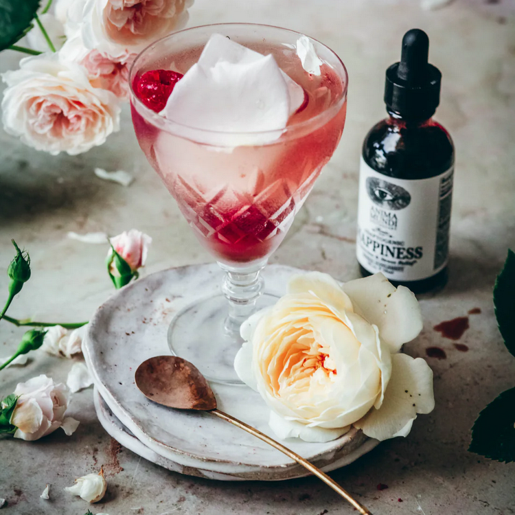 Anima Mundi Happiness Tonic 59 ml