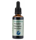 3-PACK Örtspecialisten Kungsljus 1000A 50 ml